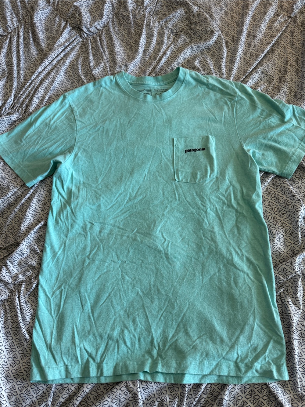 Patagonia Short Sleeve Tee